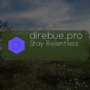 direbue.pro
